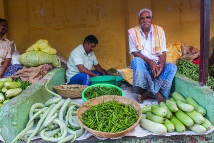 Does Farmers Market Take EBT? Unearthing the Bounty of Benefits